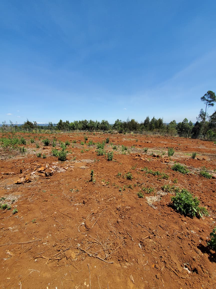 Image 6 of Vista Homes – The Oasis Phase 2 for sale