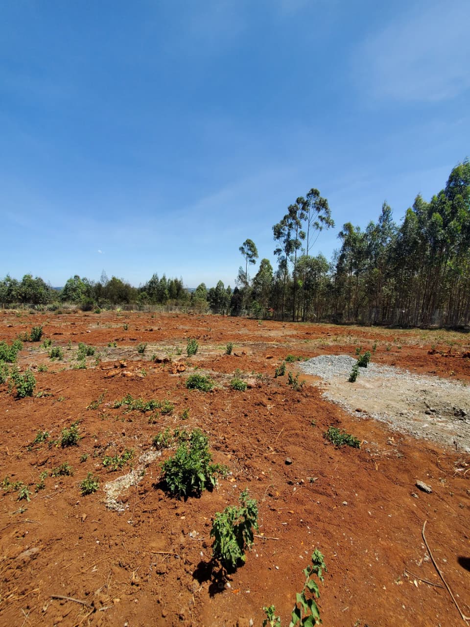 Image 8 of Vista Homes – The Oasis Phase 2 for sale