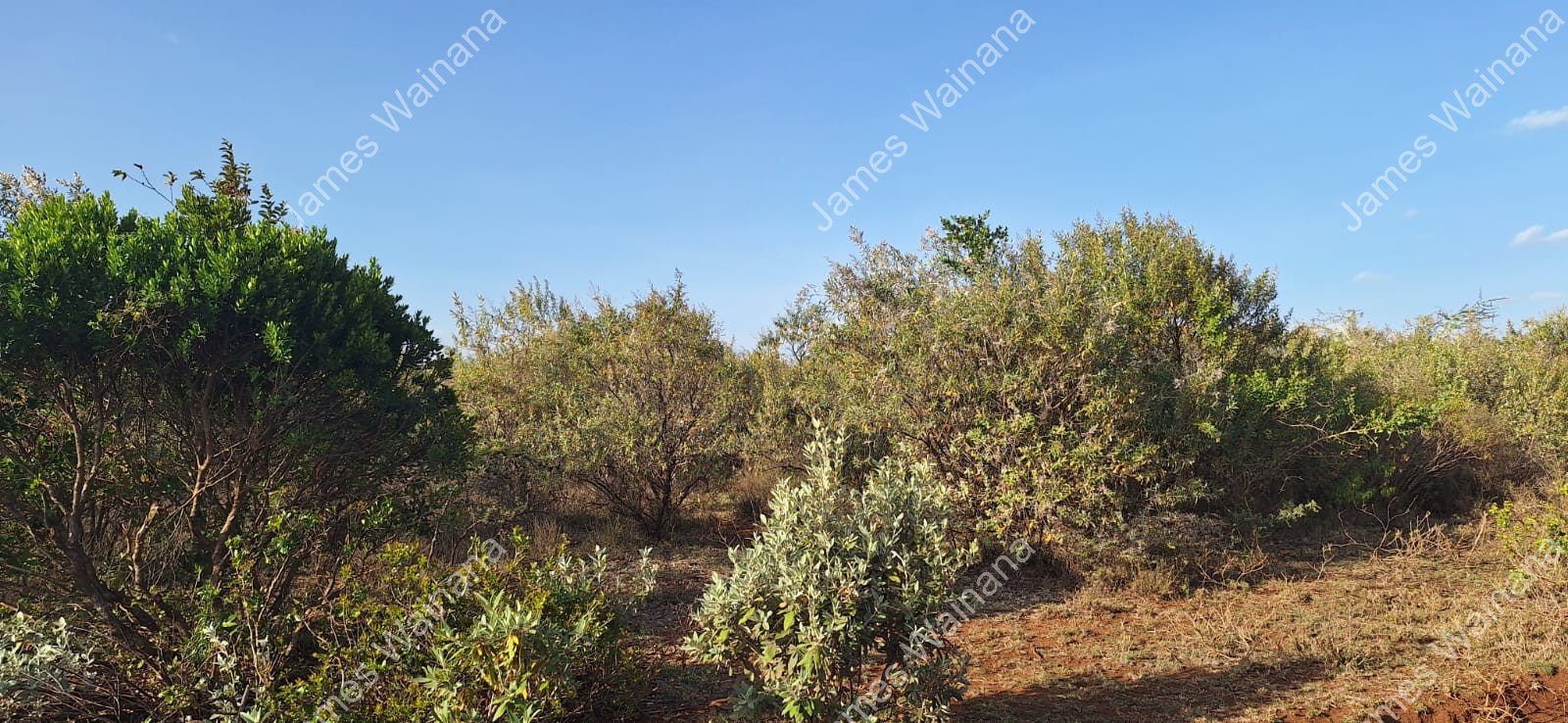 Image 3 of PLOTS FOR SALE IN KIMUKA,NGONG